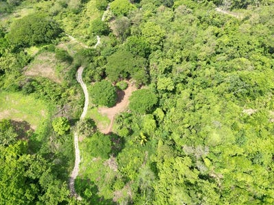 /international/cr/enchanting-9-800-m²-land-surrounded-by-jungle-and-nature-a-peaceful-retreat-near-santa-teresa-mal-pais-and-cabuya-cabuya-road-mal-pais-puntarenas-310102460389/