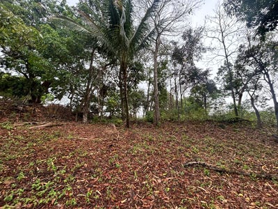 /international/cr/san-mateo-san-mateo-alajuela-san-mateo-alajuela-province-120092185802/