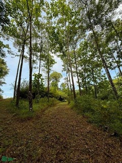 /international/cr/flat-ocean-view-lot-in-gated-community-dominical-quepos-puntarenas-11909-puntarenas-310101247304/