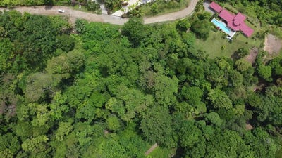/international/cr/ojochal-1-acre-ready-to-build-jungle-lot-ocean-breezes-in-wildlife-corridore-ojochal-puntarenas-province-310104445188/
