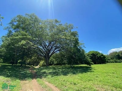 /international/cr/hacienda-ruiseg-largo-liberia-liberia-guanacaste-liberia-guanacaste-province-310098678741/