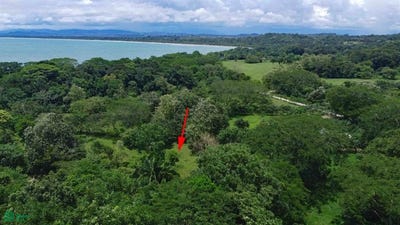 /international/cr/cruze-de-zancudo-y-pilon-calle-611-pavones-golfito-puntarenas-golfito-puntarenas-310102124628/