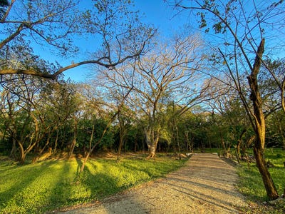 /international/cr/x86v-h9v-del-mar-pathway-provincia-de-guanacaste-nosara-costa-rica-nicoya-guanacaste-province-120088470361/