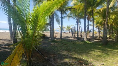 /international/cr/s-n-parrita-parrita-puntarenas-parrita-puntarenas-310101154230/?lang=zh-tw