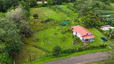 /international/cr/la-tigra-san-carlos-alajuela-san-carlos-alajuela-province-120088878391/