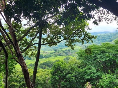 /international/cr/mountain-and-countryside-home-construction-site-for-sale-in-desmonte-desmonte-alajuela-province-120085191427/?lang=zh-cn