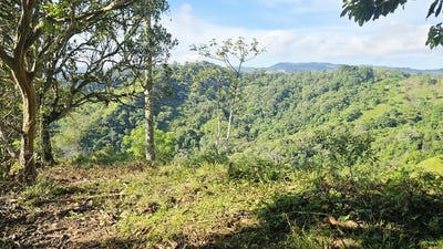 /international/cr/mountain-agricultural-land-for-sale-in-san-isidro-del-general-san-isidro-del-general-san-jose-310109202591/