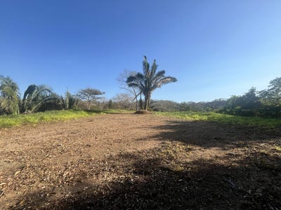 /international/cr/barrio-los-monos-samara-guanacaste-samara-guanacaste-province-310106016102/