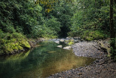 /international/cr/puerto-viejo-de-sarapiqui-puerto-viejo-de-sarapiqui-heredia-province-310105372111/