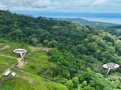 /international/cr/-bahia-ballena-osa-puntarenas-osa-puntarenas-310106542743/