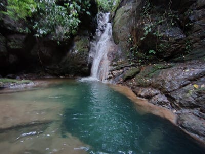 /international/cr/balzar-de-osa-puntarenas-costa-rica-osa-puntarenas-osa-puntarenas-310101061764/?lang=it