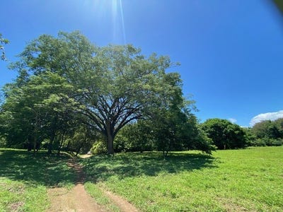 /international/cr/hacienda-ruiseg-largo-a-784-acre-ranch-in-the-heart-of-guanacaste-costa-rica-a-your-ideal-investment-opportunity-liberia-guanacaste-province-310098816610/