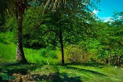/international/cr/la-reserva-camaronal-lot-16-zapotal-nandayure-guanacaste-guanacaste-province-310097033774/?lang=zh-cn