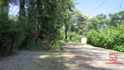 /international/cr/calle-playa-chiquita-cahuita-limon-310105375093/