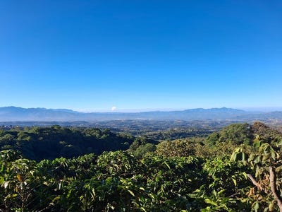 /international/cr/cafetalero-or-developer-25-378-m2-with-views-of-the-central-valley-san-isidro-alajuela-province-310106357774/