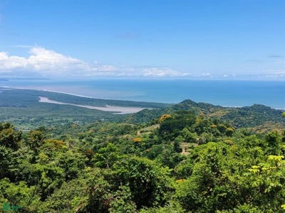 /international/cr/-puerto-cortes-osa-puntarenas-osa-puntarenas-310101926434/