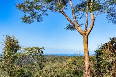 /international/cr/unnamed-road-nicoya-guanacaste-province-120088069083/