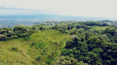 /international/cr/near-the-coast-home-construction-site-for-sale-in-osa-osa-puntarenas-310103991538/