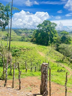 /international/cr/limoncito-de-cotobrus-coto-brus-puntarenas-coto-brus-puntarenas-310109150801/