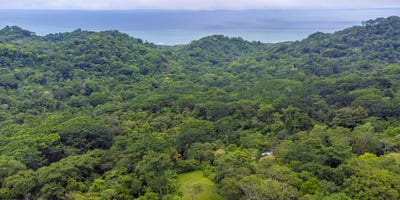 /international/cr/ocean-peak-lot-at-playa-carmen-santa-teresa-alajuela-province-310102862472/