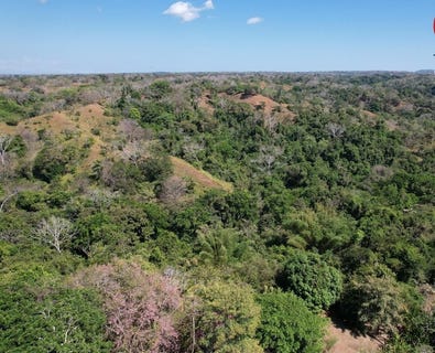 /international/cr/finca-cobano-santa-teresa-near-the-coast-agricultural-land-for-sale-in-santa-teresa-santa-teresa-puntarenas-310100237552/?lang=zh-tw