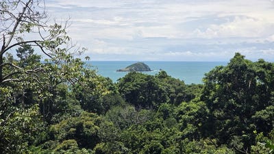 /international/cr/ocean-view-lot-in-manuel-antonio-prime-location-walk-to-the-beach-ocean-view-lot-in-manuel-antonio-prime-location-walk-to-the-beach-manuel-antonio-quepos-puntarenas-costa-rica-manuel-antonio-puntarenas-310105737003/