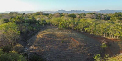 /international/cr/blue-skies-estates-at-san-isidro-san-isidro-santa-teresa-alajuela-province-310102846973/