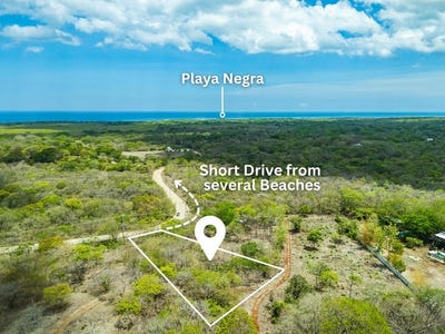 /international/cr/pura-jungla-lots-expansive-lots-with-water-availability-in-los-pargos-pura-jungla-playa-negra-guanacaste-playa-negra-guanacaste-province-310108729835/