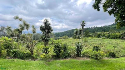 /international/cr/san-isidro-san-isidro-alajuela-province-310108263666/