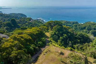 /international/cr/dominical-bahia-ballena-puntarenas-310108272642/
