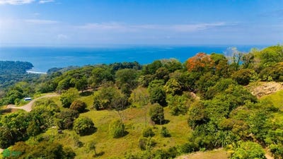 /international/cr/s-n-puerto-cortes-osa-puntarenas-osa-puntarenas-310101285202/?lang=zh-tw
