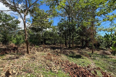 /international/cr/lot-33-calle-del-bosque-ojochal-puntarenas-ojochal-puntarenas-province-310104991225/