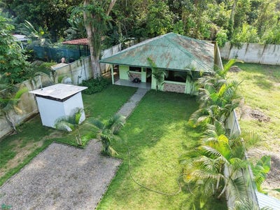/international/cr/crystal-jungle-cahuita-limon-310108188020/