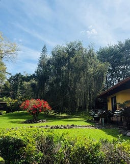 /international/cr/detached-single-family-home-for-sale-costa-rica-escazu-with-big-garden-san-antonio-san-jose-310105806021/