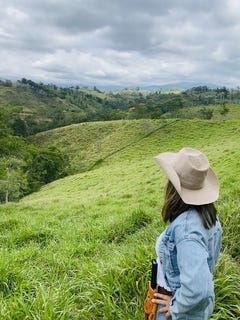 /international/cr/54-acre-ranch-in-san-vito-coto-brus-san-vito-puntarenas-310106506709/