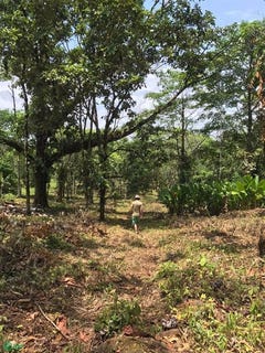 /international/cr/dos-rios-liberia-guanacaste-province-310108039763/