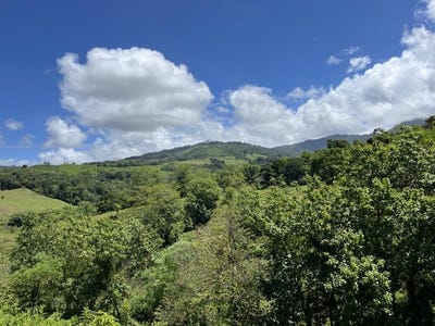 /international/cr/hills-of-platanillo-savegre-de-quepos-savegre-de-quepos-puntarenas-savegre-de-quepos-puntarenas-120087305487/