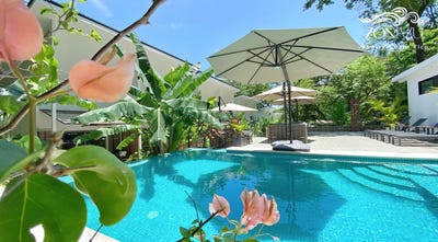 /international/cr/santa-teresa-beach-puntarenas-province-puntarenas-province-310099944153/