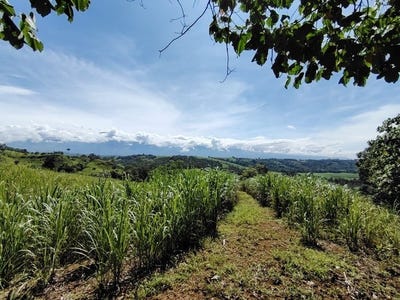 /international/cr/se-vende-propiedad-en-caji-n-costa-rica-mountain-home-construction-site-for-sale-in-cajon-cajon-san-jose-310101373969/?lang=zh-cn