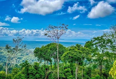 /international/cr/1-32-acres-spectacular-ocean-view-in-tres-rios-large-building-site-legal-water-and-electricity-ready-to-build-close-to-beaches-tres-rios-puntarenas-310107974075/