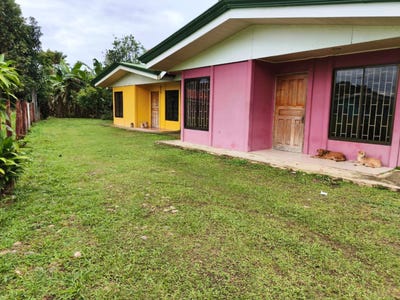 /international/cr/golfito-guaycara-puntarenas-puntarenas-puntarenas-puntarenas-310101375656/?lang=fr