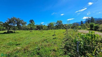 /international/cr/permaculture-lot-3-general-perez-zeledon-san-jose-perez-zeledon-san-jose-310101417210/?lang=de