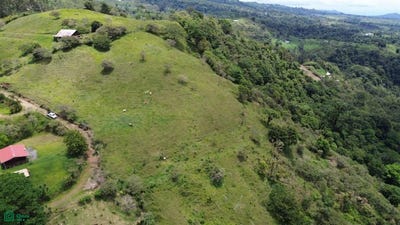 /international/cr/san-diego-turrialba-turrialba-cartago-turrialba-cartago-province-310107496420/