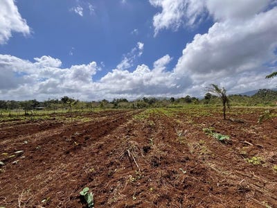 /international/cr/zona-turistica-y-ecologica-guatuso-alajuela-310105811381/