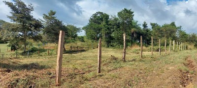 /international/cr/lagunillas-garabito-garabito-puntarenas-garabito-puntarenas-310100143812/