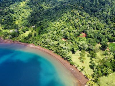 /international/cr/spectacular-coastal-rainforest-estate-property-puerto-jimenez-puntarenas-310108729836/