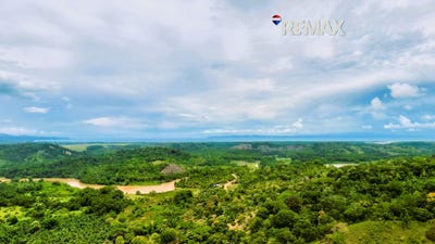/international/cr/la-florida-puntarenas-puntarenas-puntarenas-puntarenas-310107743075/