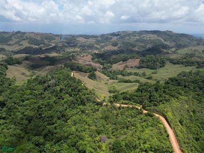 /international/cr/uvita-puntarenas-puntarenas-310108272145/