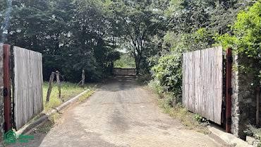 /international/cr/calle-paralela-a-la-segunda-entrada-playa-hermosa-lote-galeria-playa-hermosa-carrillo-guanacaste-carrillo-guanacaste-province-310095828944/