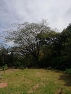 /international/cr/beautiful-lot-in-santa-ana-for-a-developer-rio-oro-san-jose-310107294423/